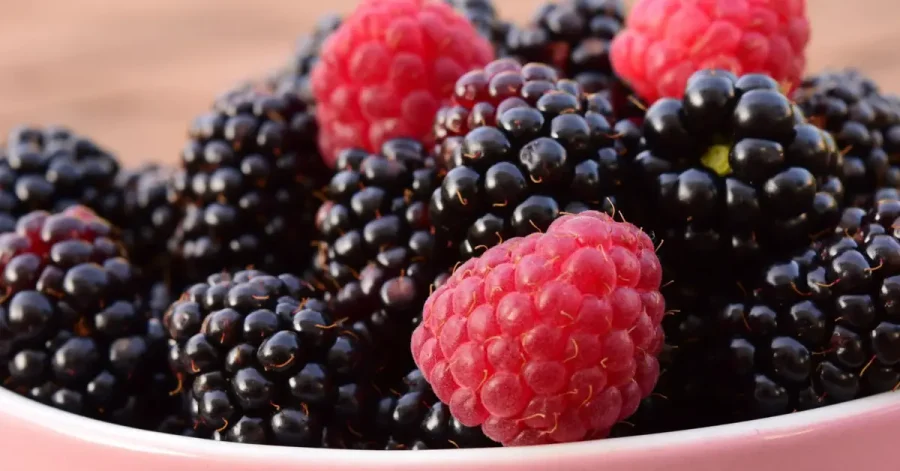 خاصیت های اثبات شده شاه توت برای سلامتی