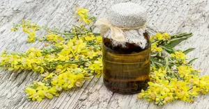 روغن خرگوشک چیست و چه فوایدی برای مو دارد