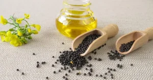 روغن کانولا چیست؟ خواص و ارزش غذایی آن