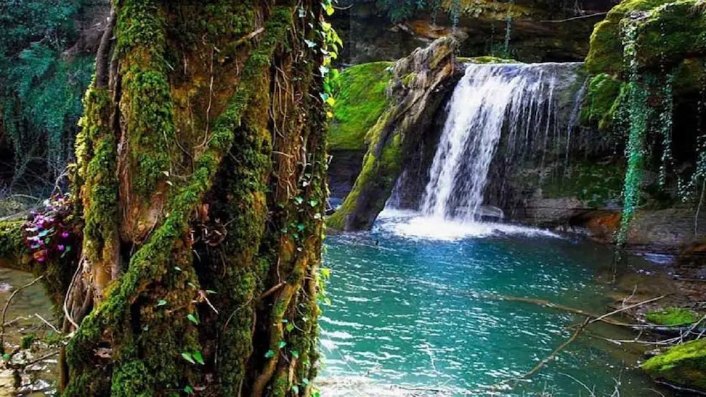 خنک ترین شهرهای ایران در تابستان کدام اند؟