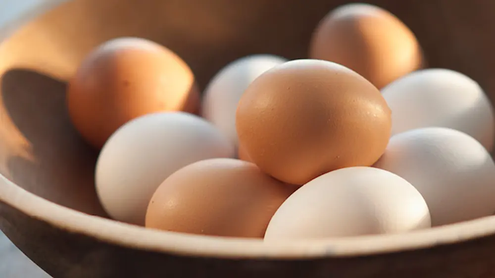 تخم مرغ، ماده غذایی قدرتمند برای رفع گرسنگی