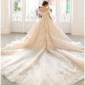 معرفی انواع دنباله لباس عروس معرفی انواع دنباله لباس عروس