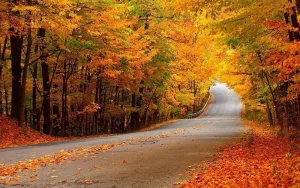 معرفی جاهای دیدنی استان گلستان