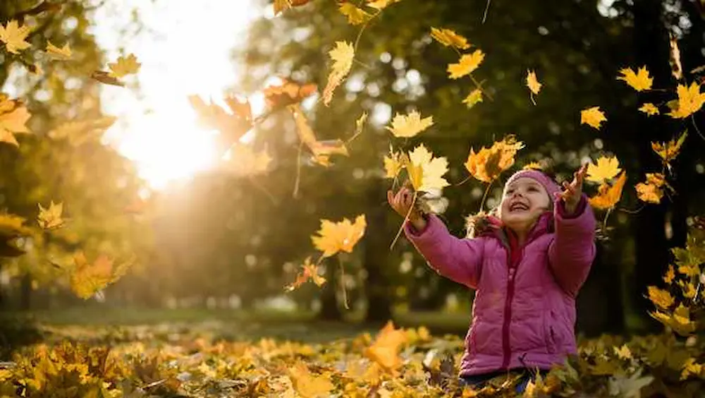 طالع بینی مهر ماهی ها