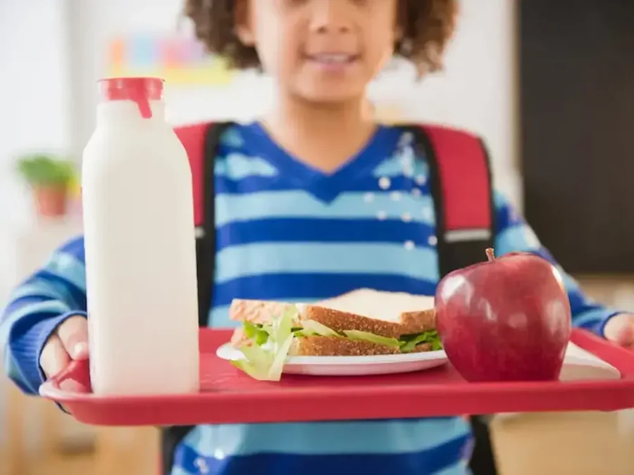 معرفی میان وعده‌ های مقوی مدرسه