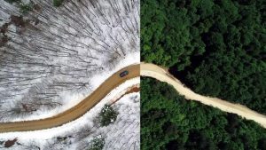 کشورهای گرمسیر در زمستان سال جدید [ 11 کشور با قیمت مناسب]