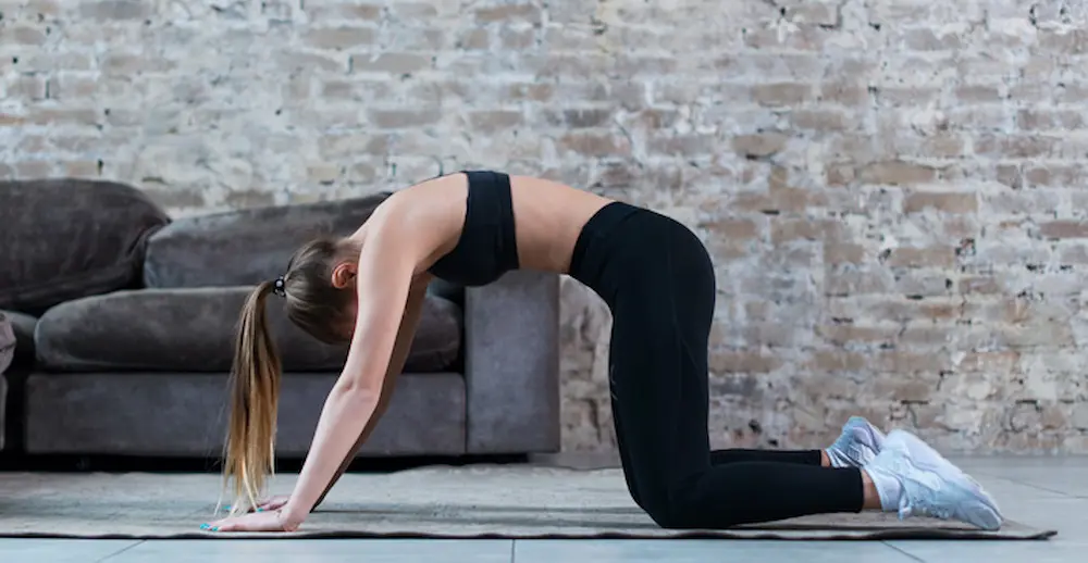 حرکت گربه برای رفع کمردرد