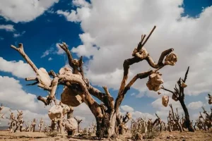 15 مکان عجیب در ایران که حتما باید ببینید