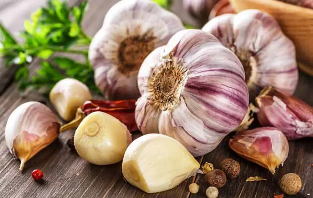 سیر داغ سرشار از عطر و طعم است